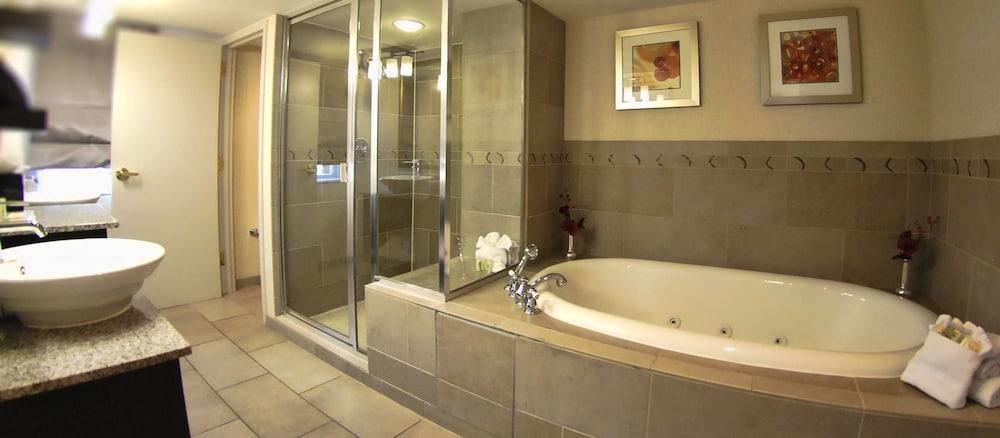 Holiday Inn Kansas City Downtown Aladdin エクステリア 写真