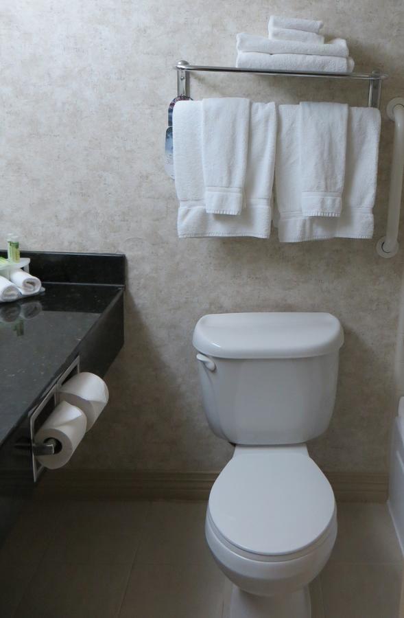 Holiday Inn Kansas City Downtown Aladdin エクステリア 写真